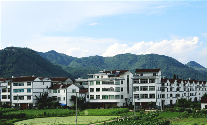 �½���Ӧ�������������