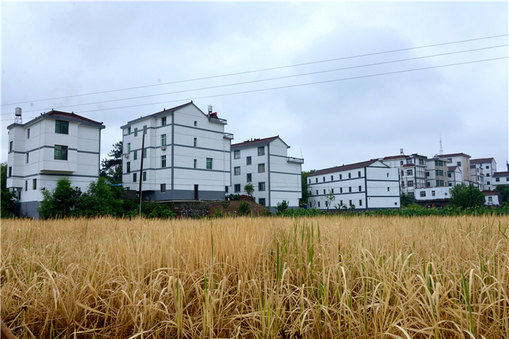 �±ֵ̽��¿���