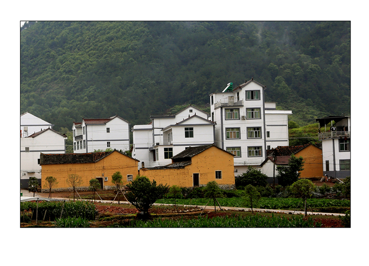 �½�����Ŵ����ǽ����ɫ���� (